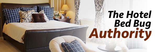 hotel_bedbug_head600x200